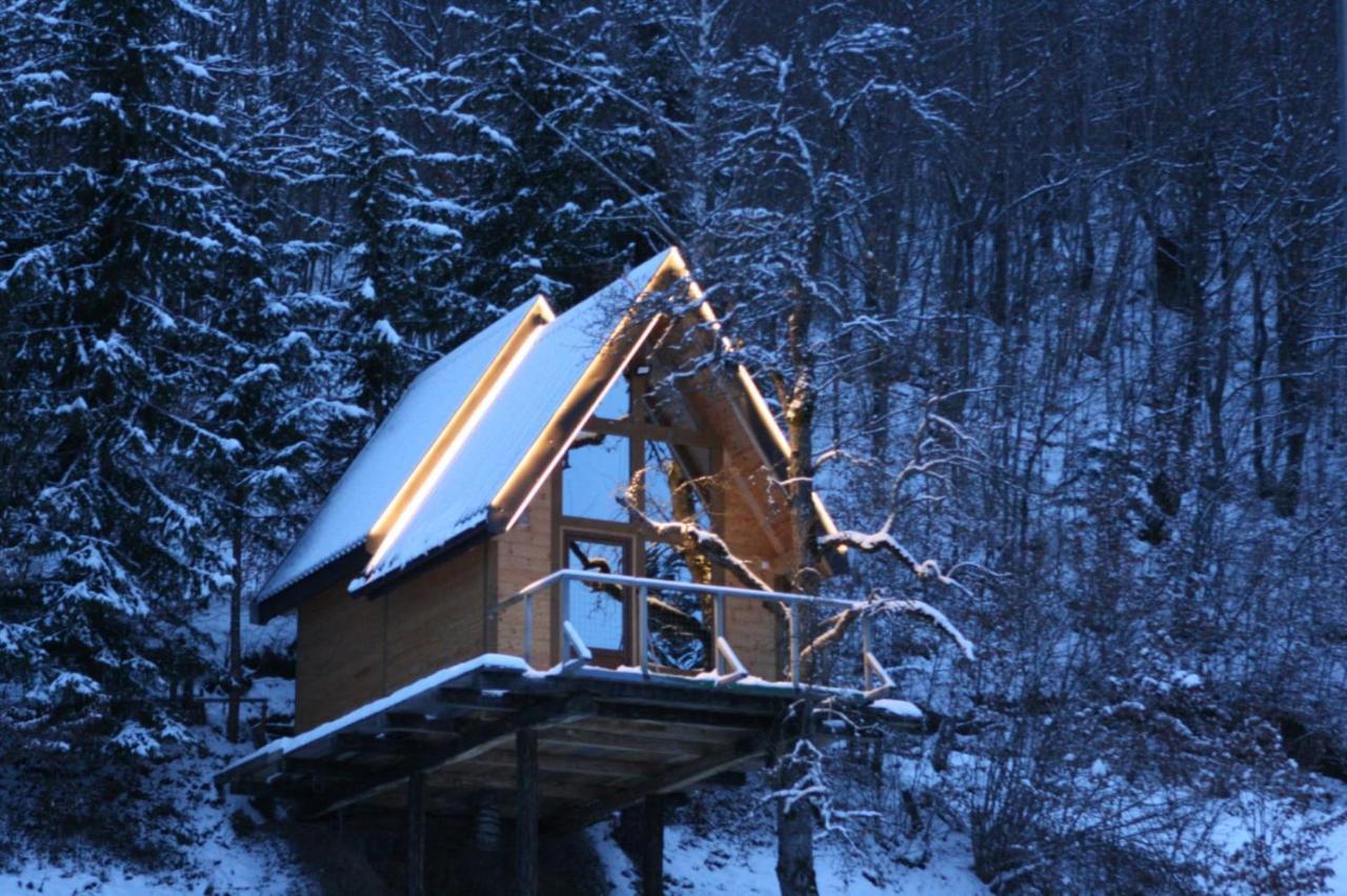 Tree House - Tara Place Mojkovac Bagian luar foto