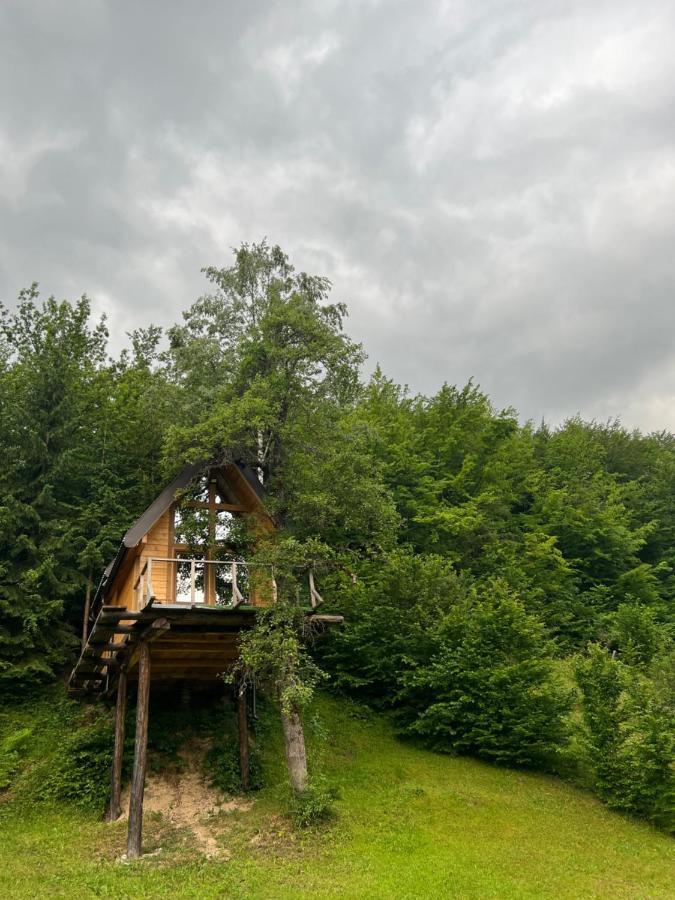 Tree House - Tara Place Mojkovac Bagian luar foto