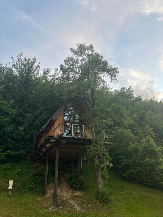 Tree House - Tara Place Mojkovac Bagian luar foto
