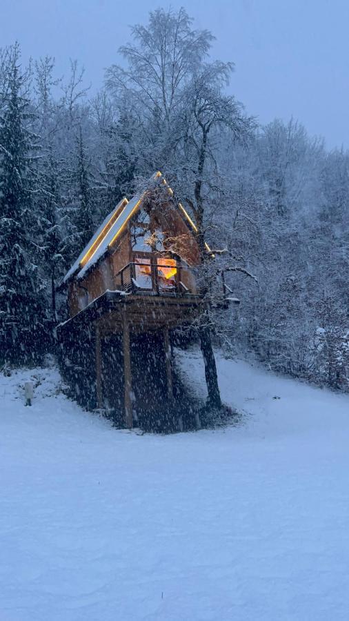 Tree House - Tara Place Mojkovac Bagian luar foto